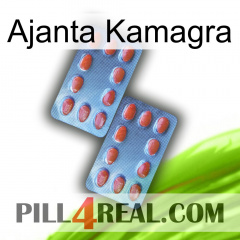 Ajanta Kamagra 05